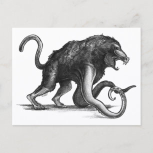 Squiboon - Cartão postal