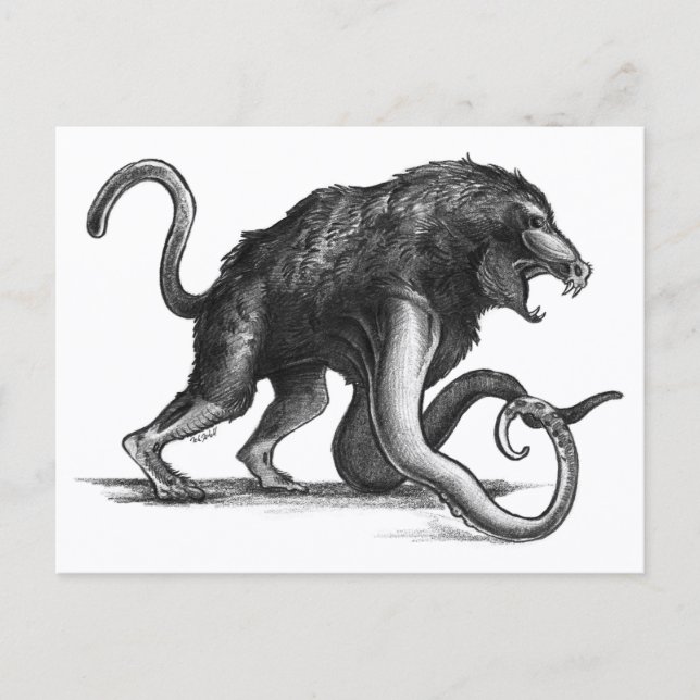 Squiboon - Cartão postal (Frente)