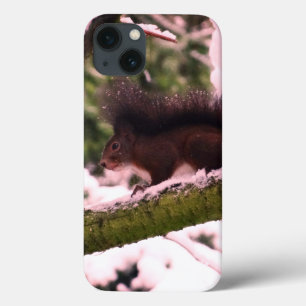 Squirrel o iPhone 6/6s da foto do inverno, Xtreme
