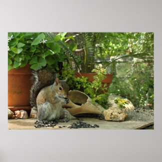 Squirrel Treats Poster -36x24 -outros tamanhos