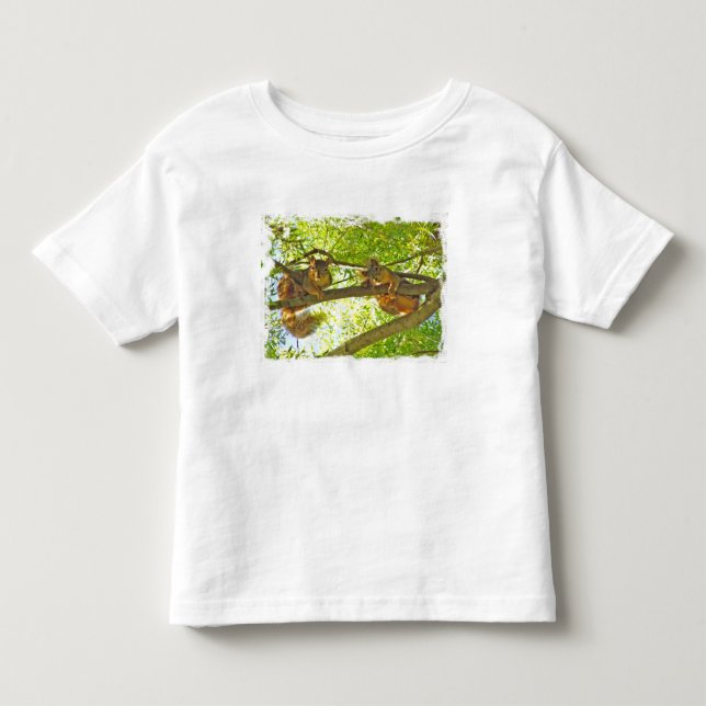 Squirrels o t-shirt da criança de observação (Frente)