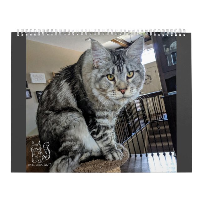 Sr. Filhote de cachorro-Meias Calendário (Capa)