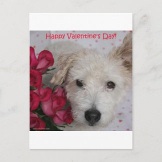 Sr. Pish e cartão do dia dos namorados de dúzia