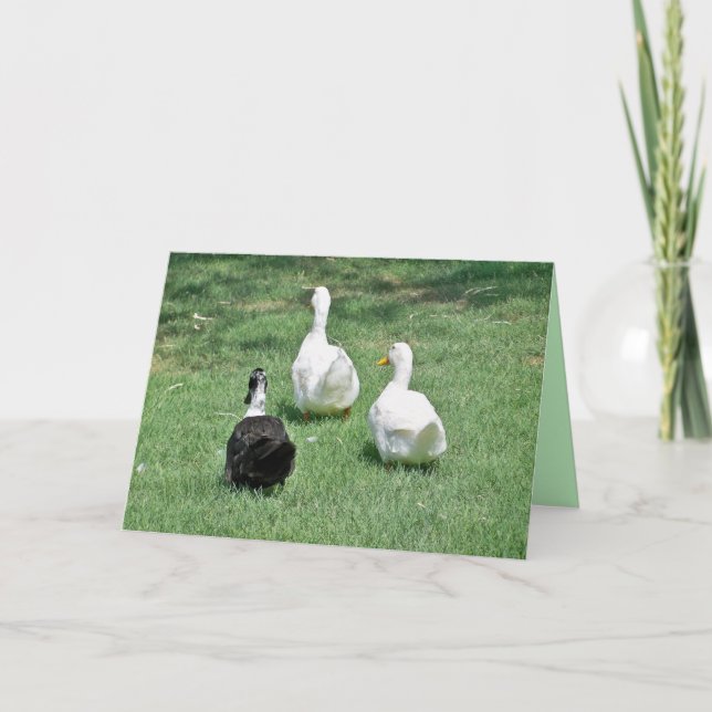 Srta. Cartão - Saindo (Frente)