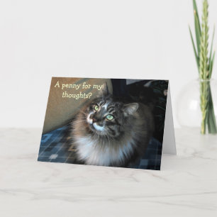 Srta. Seu Irresistível Cartão Gato Zorro