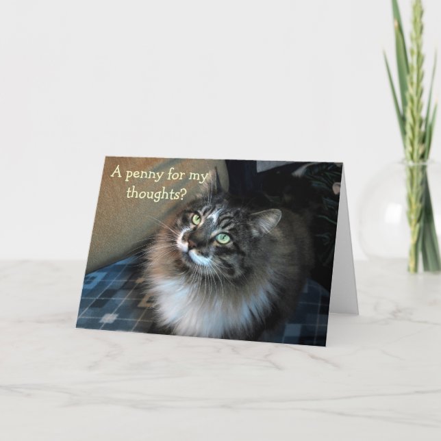 Srta. Você Irresistível Cartão Zorro Cat (Frente)