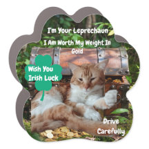 St Patrick's Day Shamrock Cat Humor Car Magnet
