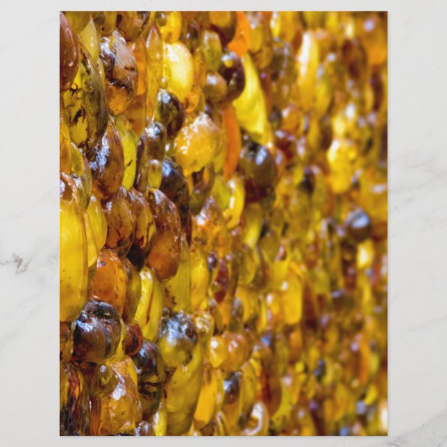 St. Thomas 2 (Frente)