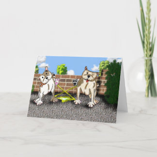 STAFFIE SORRI - fator de X - cartão de