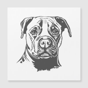 Staffordshire Bull Terrier