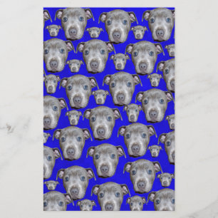 Staffordshire Bull Terrier Puppy Pattern,
