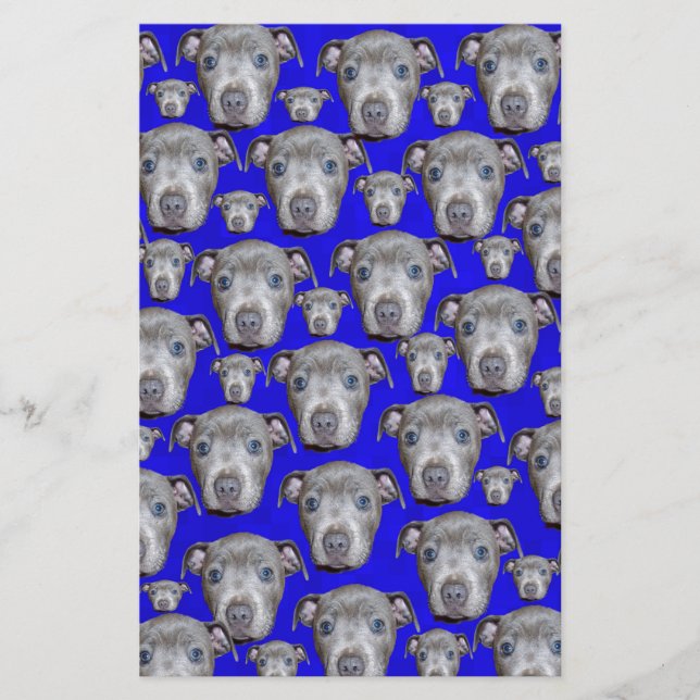 Staffordshire Bull Terrier Puppy Pattern, (Frente)