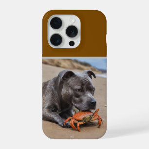 Staffy é amigo de um caranguejo de praia,