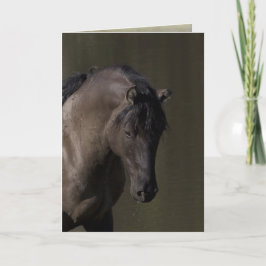 Stallion no Cartão de Saudação de Cavalo Selvagem 