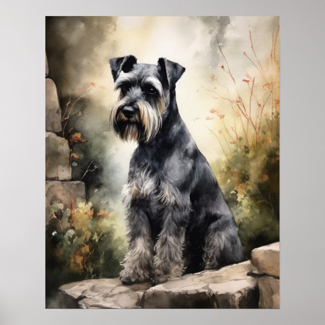 Standard Schnauzer Dog Art Impressão Poster (Frente)