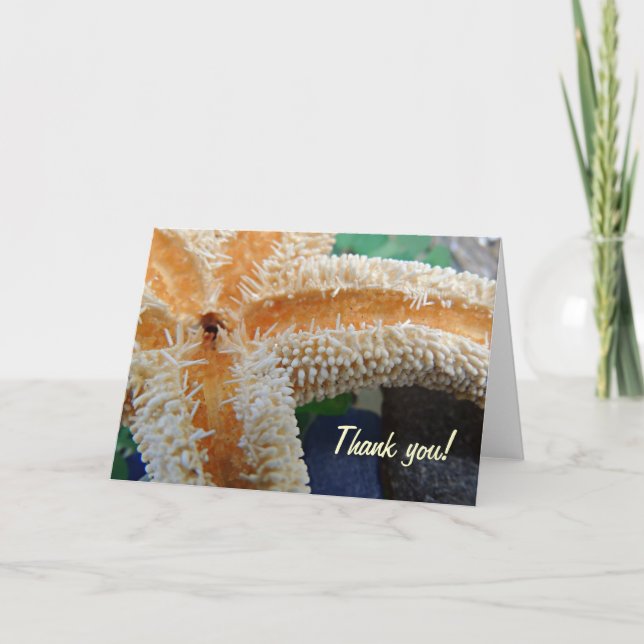 Starfish no Cartões de agradecimentos de vidro de  (Frente)