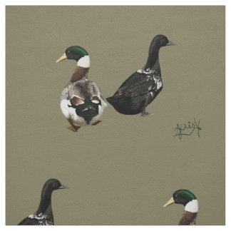 Stargazer drake e seu tecido de Dama