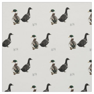 Stargazer Drake e sua tecido Lady Duck - branco