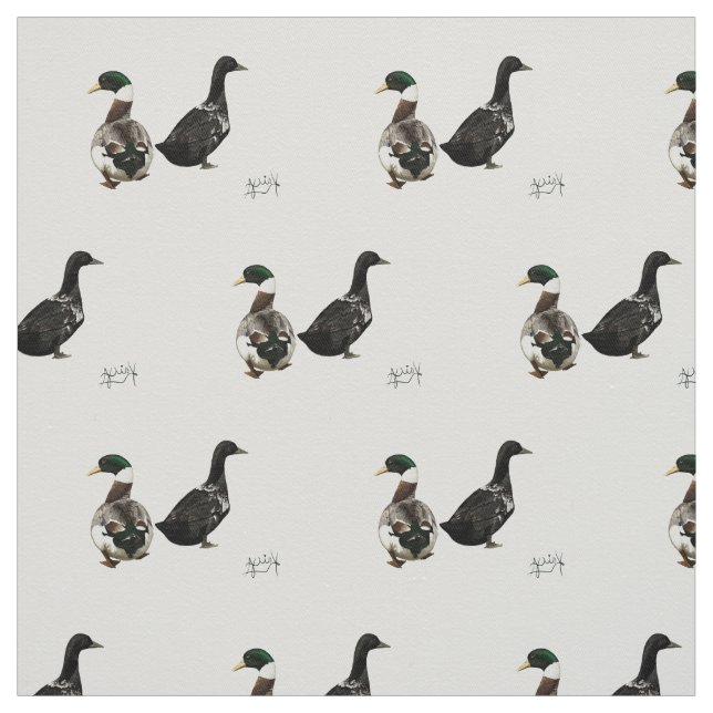 Stargazer Drake e sua tecido Lady Duck - branco (Modelo)