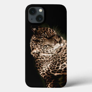 Starring manchado do leopardo