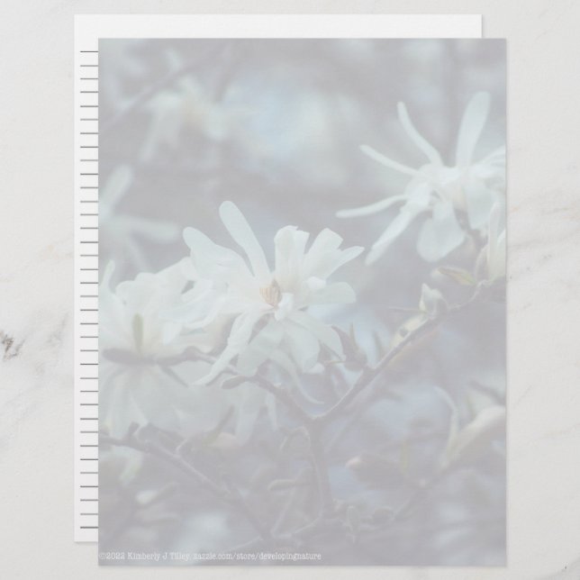 Starry Magnolia 3172 (Frente/Verso)