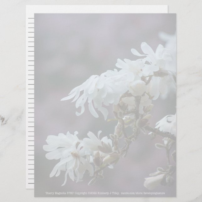Starry Magnolia 5780 (Frente/Verso)