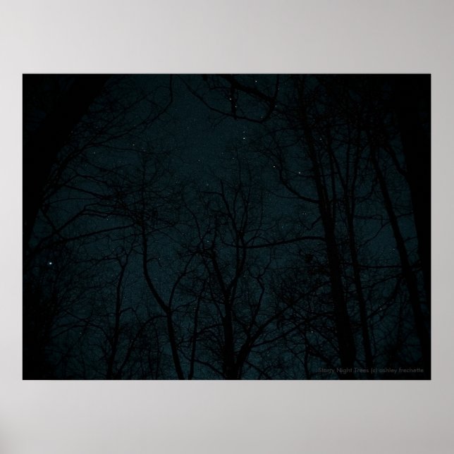 Starry Night Trees poster (Frente)