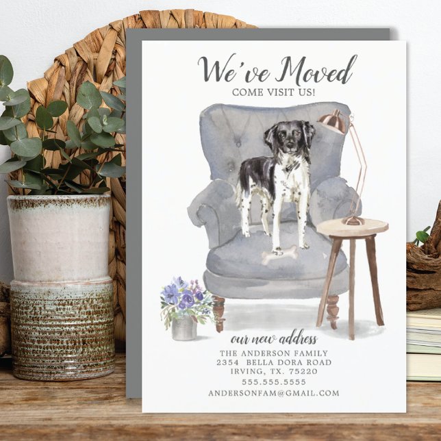 Statyhoun | Anúncio de mudança (Criador carregado)