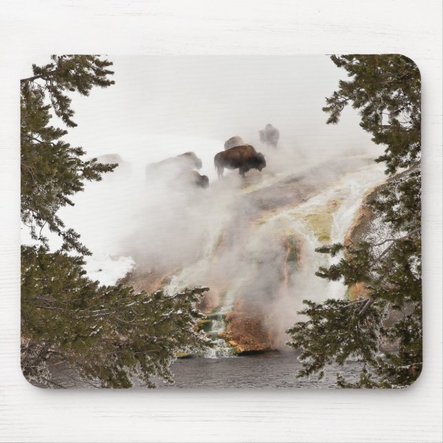 Steamy Bison Mousepad (Frente)