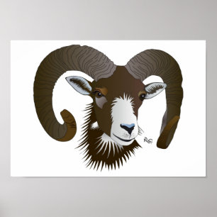 Sternzeichen - carneiro poster