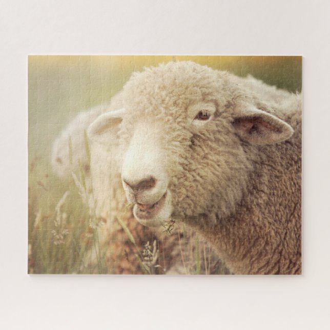 Stewie Jigsee Quebra-cabeça (Horizontal)