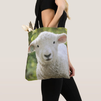Stewie Lamb Bolsa