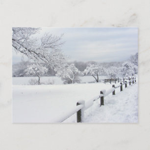 Sticky Snow 7 ~ cartão postal