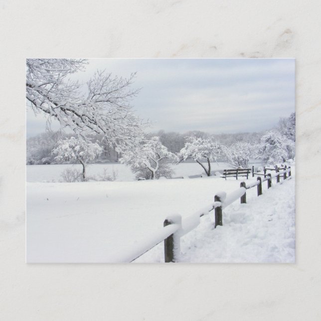 Sticky Snow 7 ~ cartão postal (Frente)