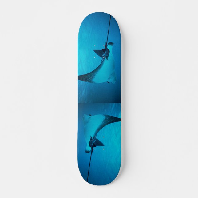 Stingray Skateboard (Frente)