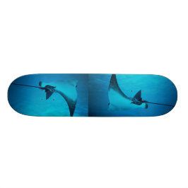 Stingray Skateboard