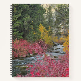 Stream Blooms Spiral Notebook