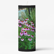 Stream de Jardim com Conversores Roxos