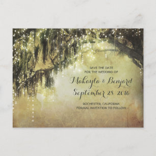 string de luzes e árvore antiga salvar o cartão po