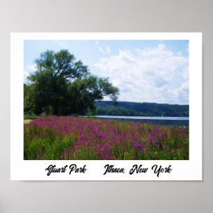 STUART PARK, ITHACA, NOVA YORK poster