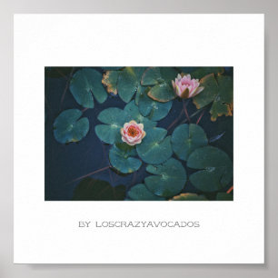 Stylized Pink Water Lily Flowers Plants Poster