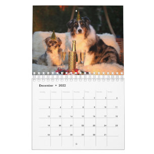 Sua Foto Aqui - Calendário de Fotografias de Cacho