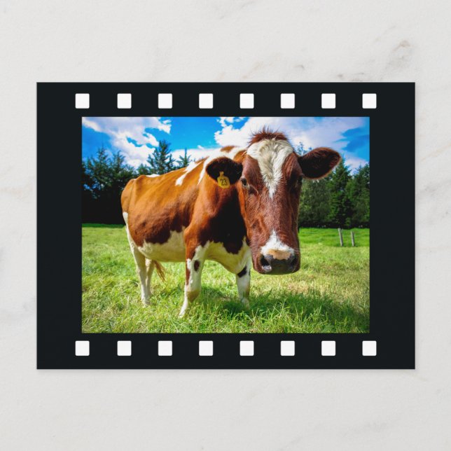 SUA FOTO no cartão postal (Frente)