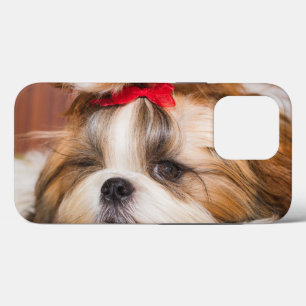 Sua foto personalizada do cachorro de estimação