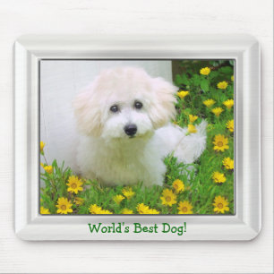 Sua Fotografia No Mousepad