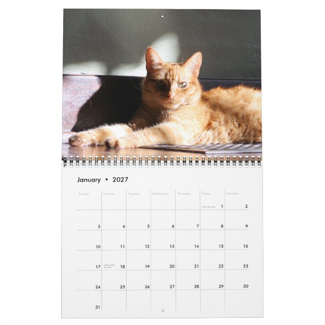 Sua majestade o calendário do gato 2013 (Jan 2027)