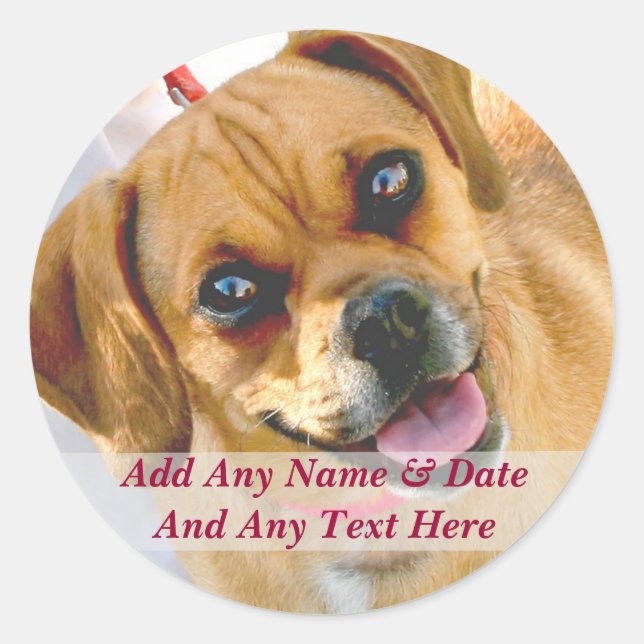 Sua Própria Fotografia E Autocolantes De Texto Per (Frente)