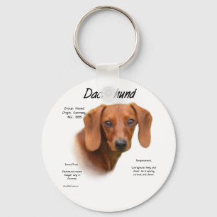 Suave Dachshund Conheça o Chaveiro da Raça