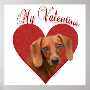 Suave Dachshund Meu Poster Namorados