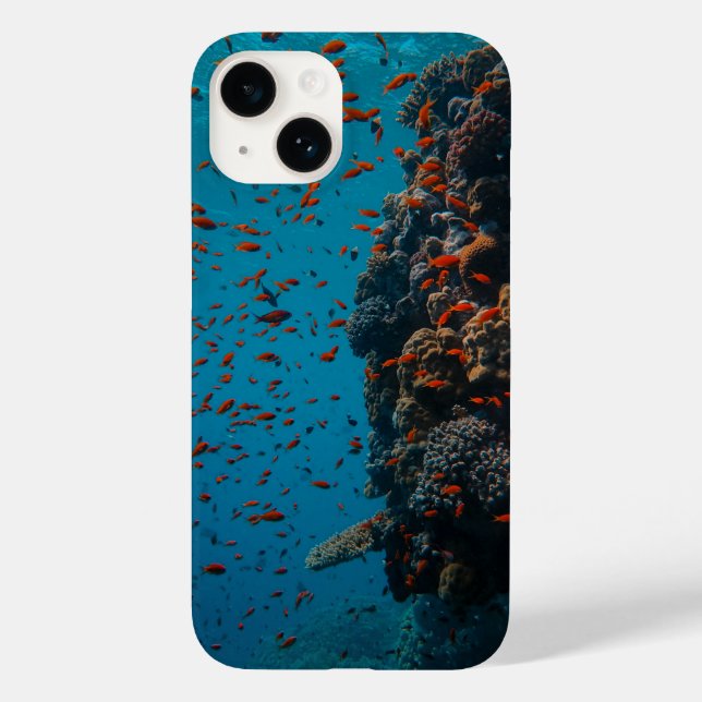 Submarino, coral, peixe (Verso)